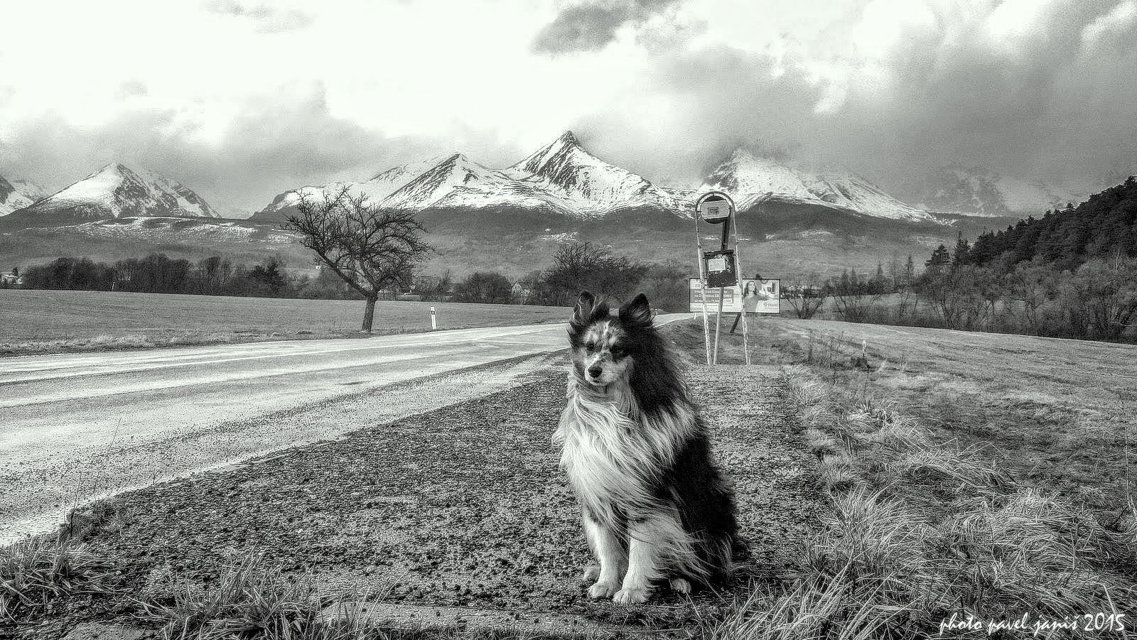 bastien tatry